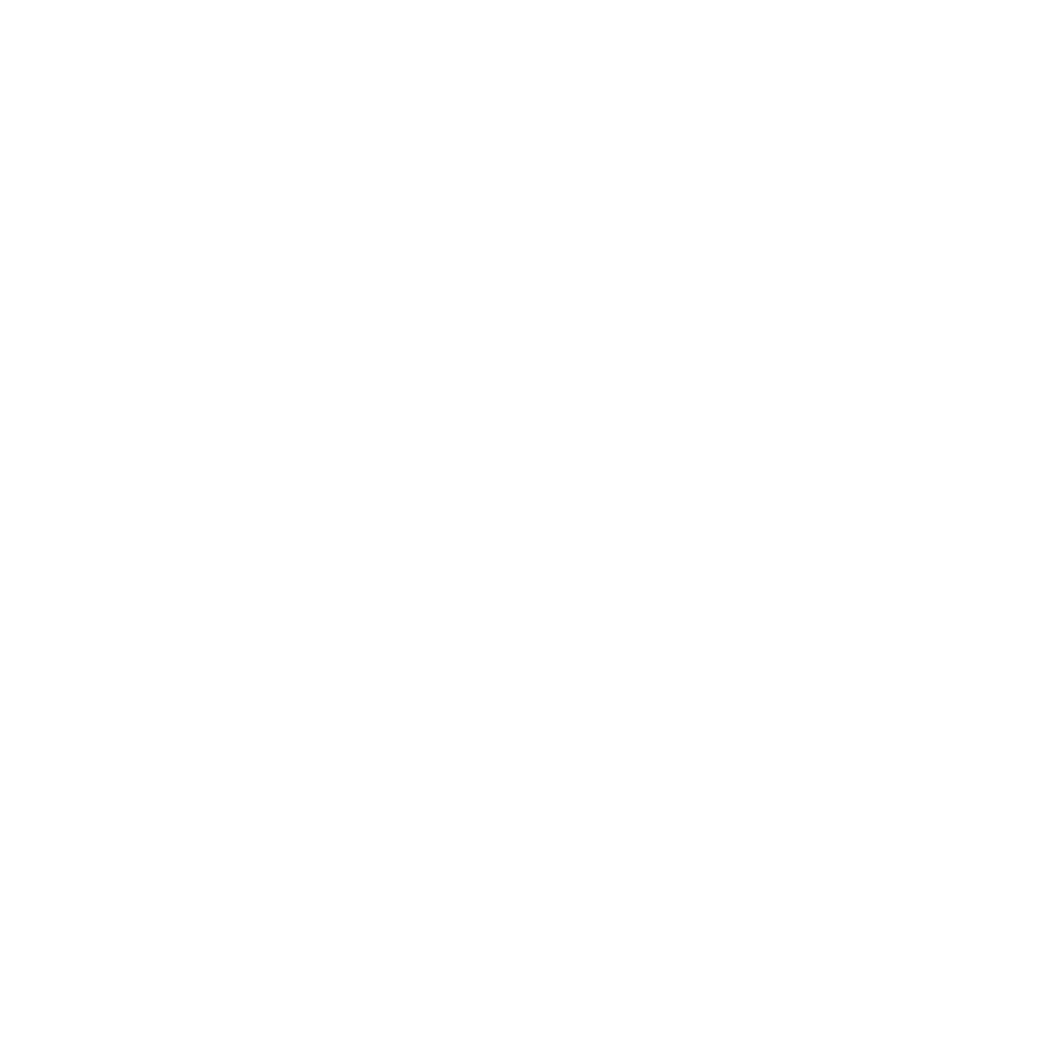 Monte Carlo Logo